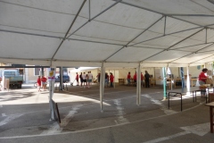 P1140239